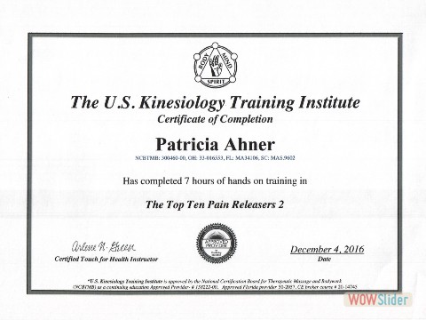 Kinesiology Certificate 2