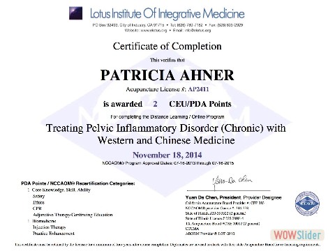 Pelvic Inflammatory Disorder (Chronic)