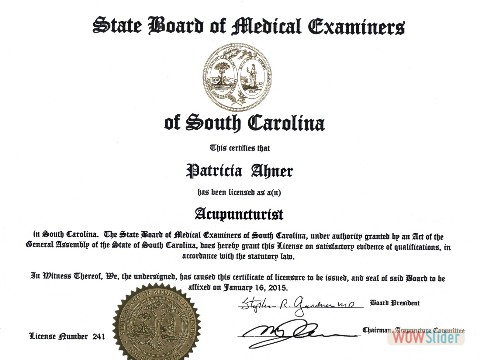 SC Acupuncture License