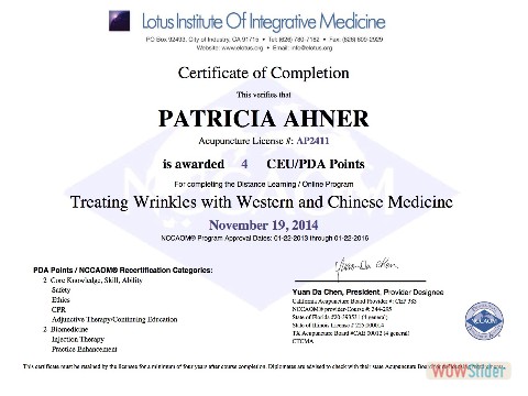 Treating Wrinkles Certificate